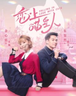 拯救迷路小公主